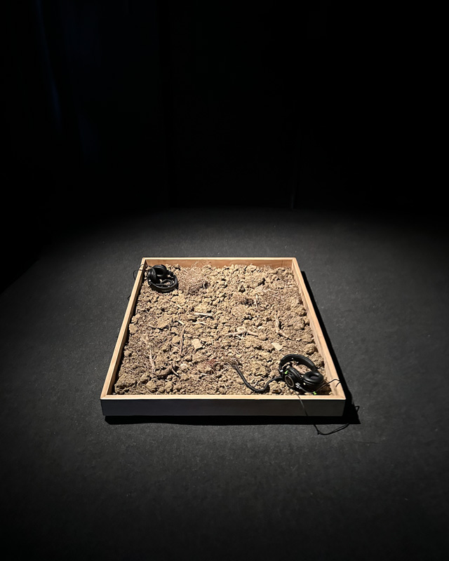 Schattenabschaltung, Ausstellung